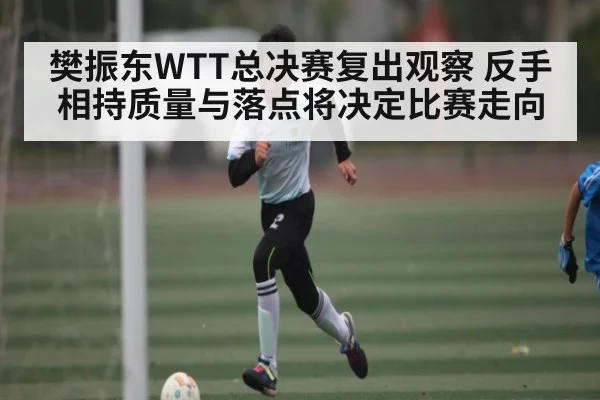 樊振东WTT总决赛复出观察 反手相持质量与落点将决定比赛走向